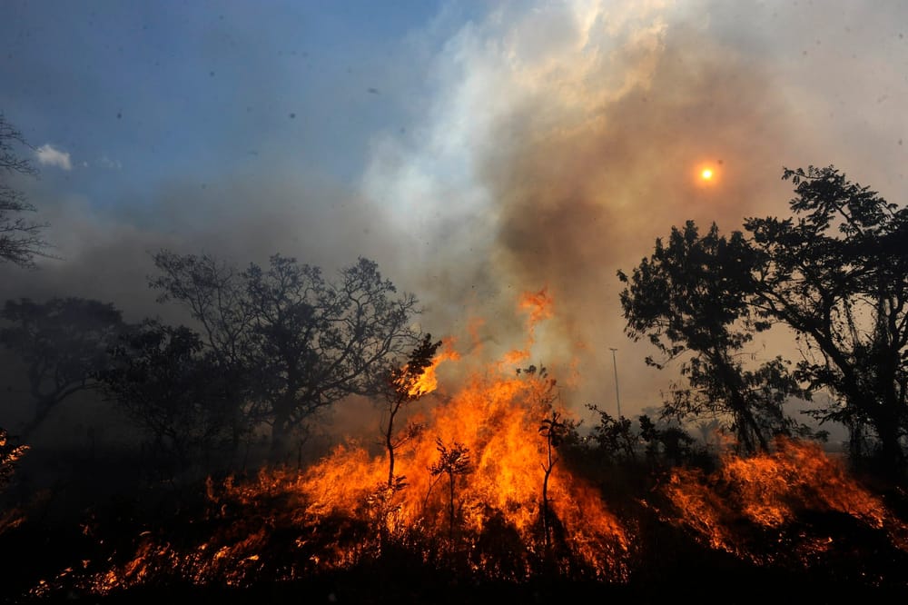 Héroes anónimos ya han apagado 179 incendios forestales en el país durante este año imagen de la publicación