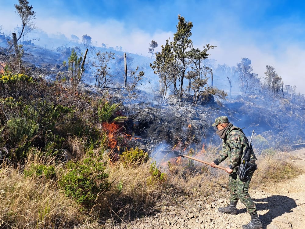 Ideam reporta que el 86 % de municipios del país están en riesgo de incendio forestal imagen de la publicación