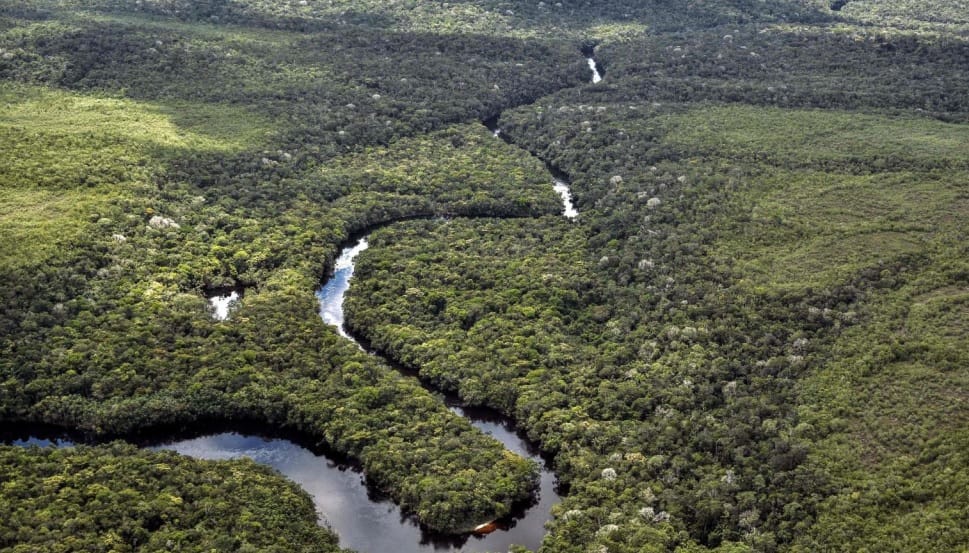 El calentamiento global agudiza sequía histórica en el Amazonas imagen de la publicación