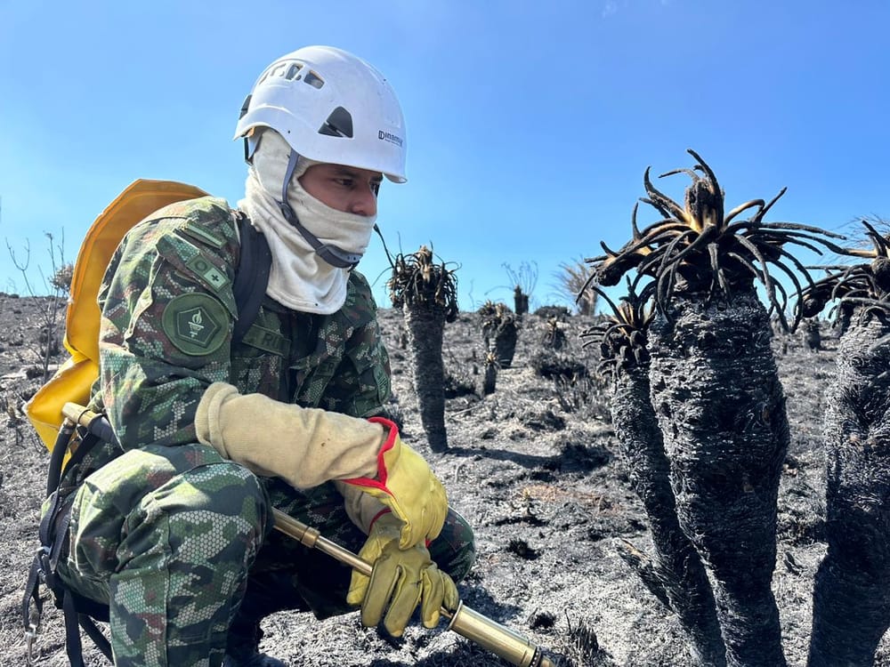 Incendio en Santurbán fue controlado en un 100% imagen de la publicación
