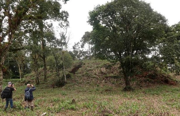 Descubren antiguas ciudades agrarias en la Amazonía ecuatoriana imagen de la publicación