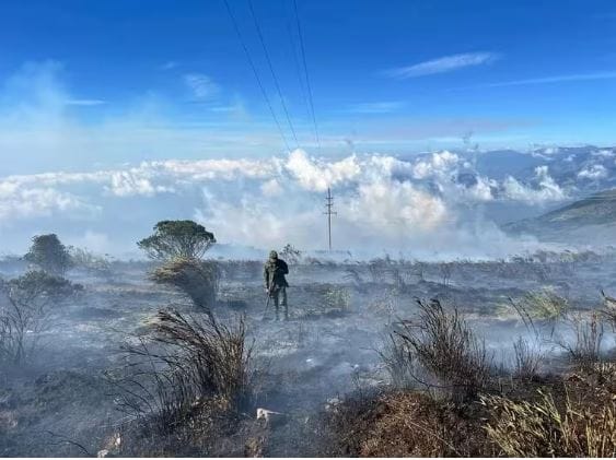 Plan de acción nacional para enfrentar la crisis climática imagen de la publicación