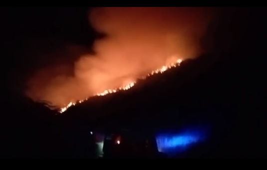 Incendio forestal amenaza la tranquilidad de Sucre, Santander imagen de la publicación
