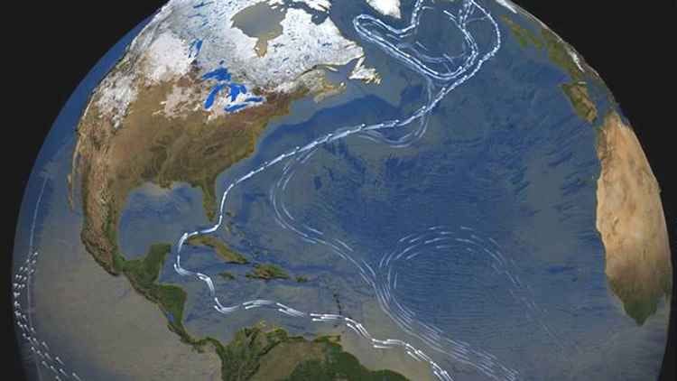 Advierten sobre debilidad del regulador térmico del planeta imagen de la publicación