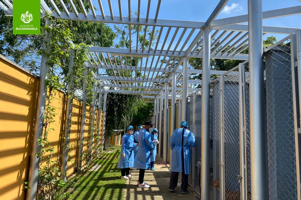 Visita técnica a la Unidad de Bienestar Animal de Bucaramanga imagen de la publicación