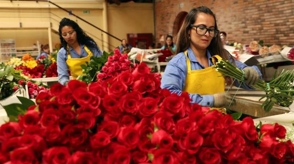 Colombia envió 18.000 toneladas de flores para Día de San Valentín imagen de la publicación