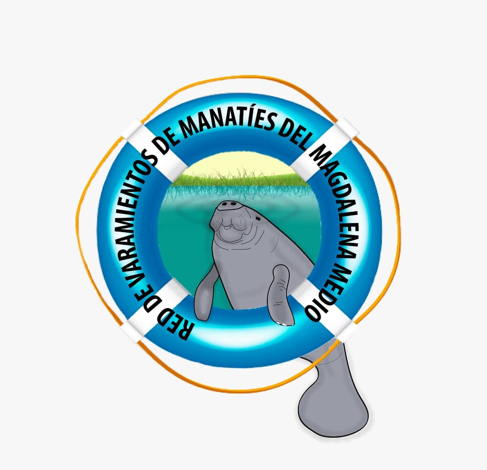 Federación de Pescadores Artesanales de Santander y CAS unidos por la protección del Manatí imagen de la publicación