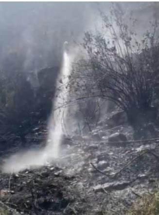 Bomberos atendió incendio forestal en las Transversal Metropolitana imagen de la publicación