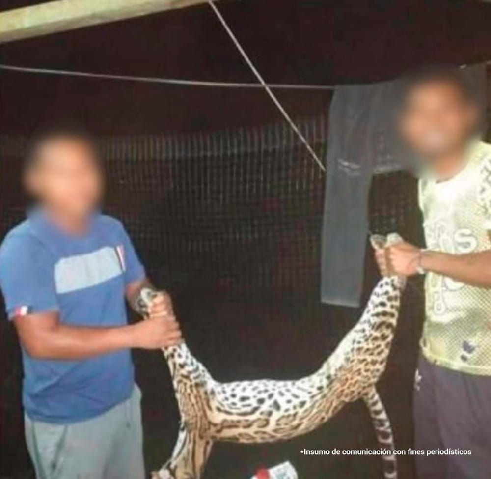 Desadaptados tras las rejas por maltrato animal en Santander y Nariño imagen de la publicación