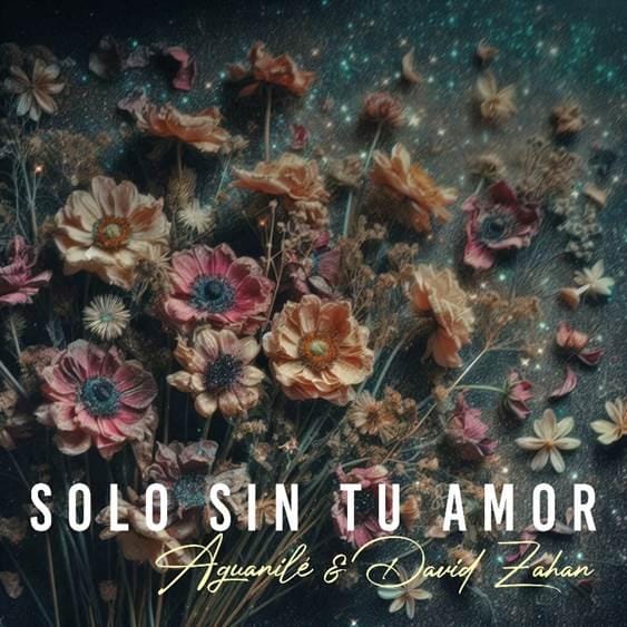 Aguanilé presenta el remix de “Solo Sin Tu Amor” junto a David Zahan imagen de la publicación