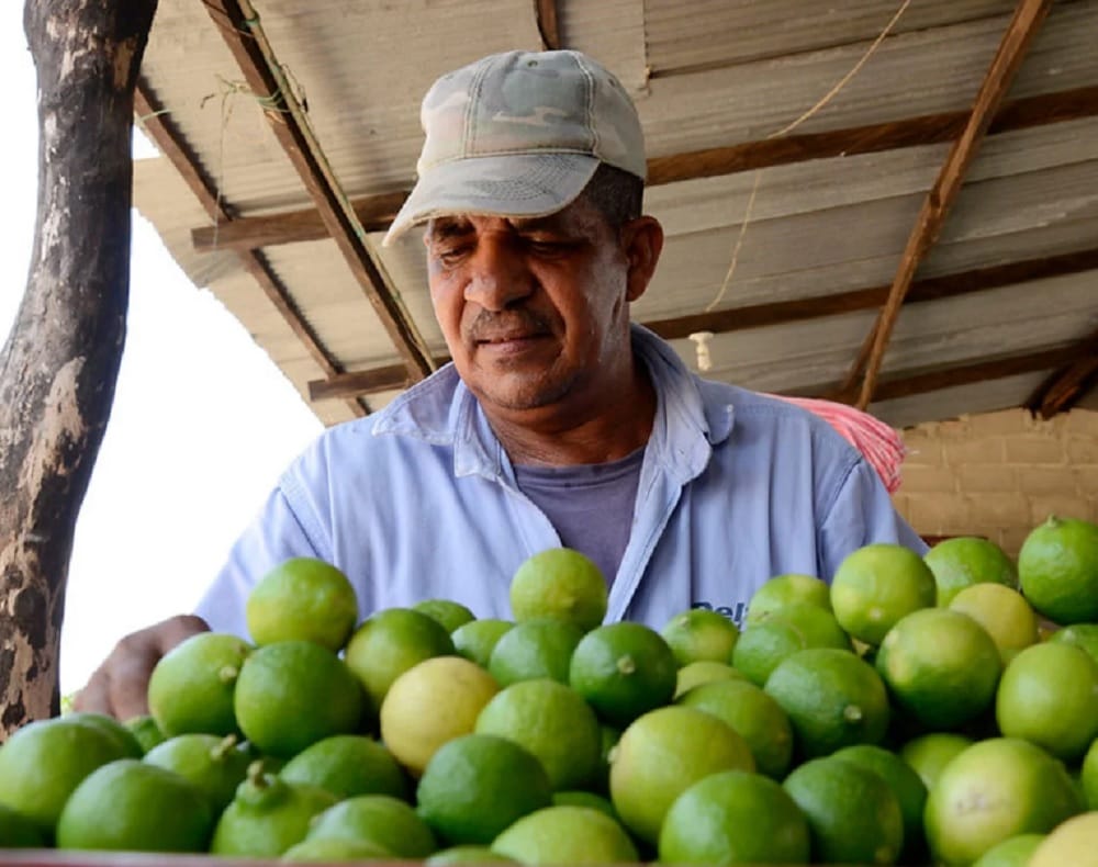 Santander: optimismo empresarial para el primer semestre de 2024 imagen de la publicación