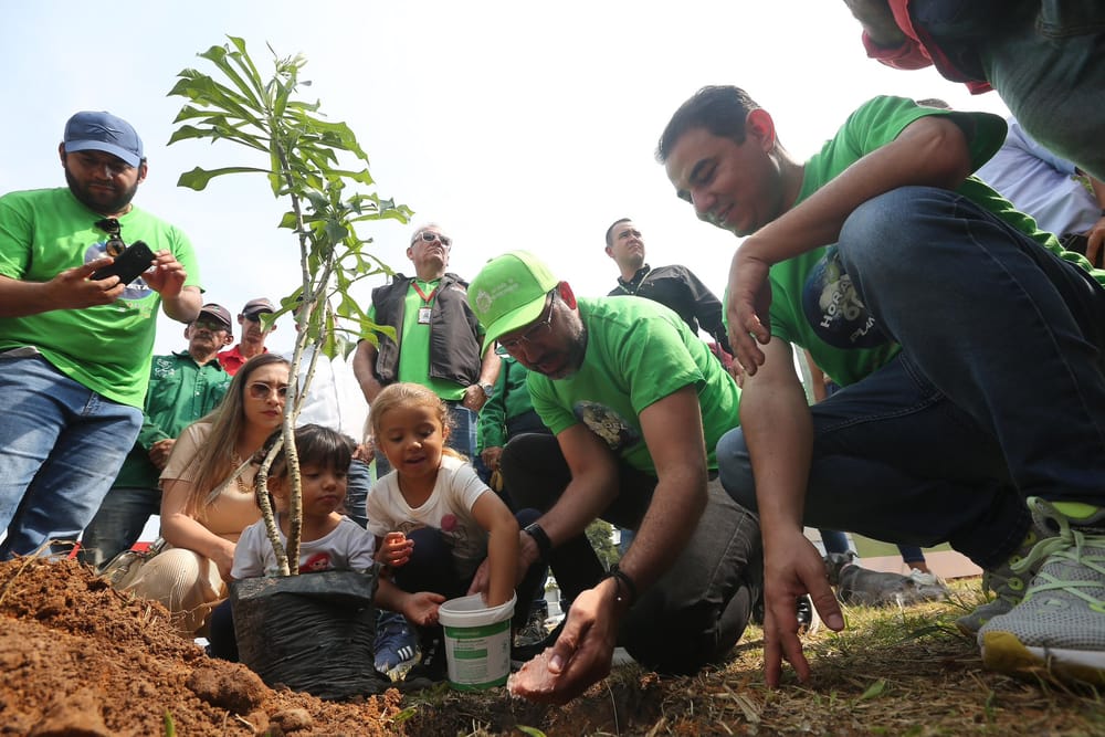 Bucaramanga vestida de verde con jornadas de reforestación imagen de la publicación
