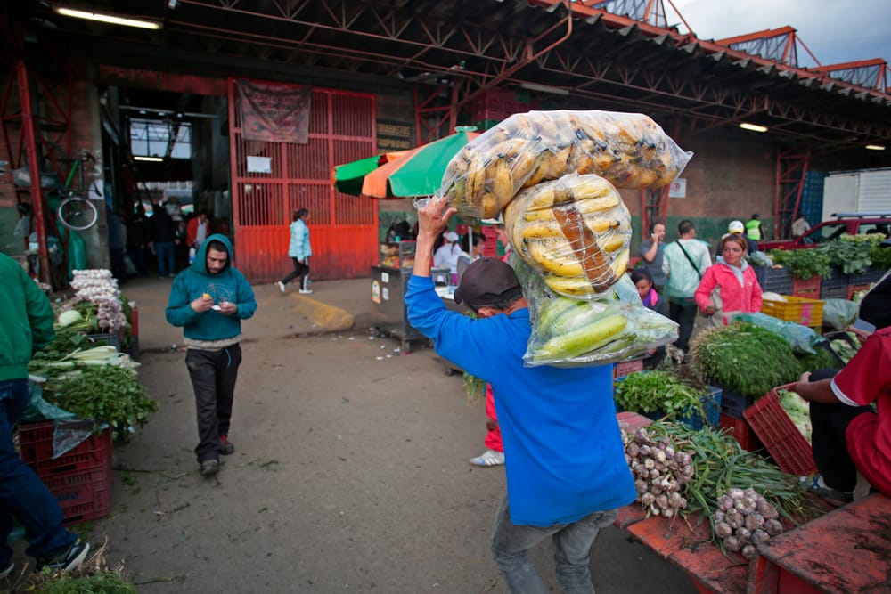 Suministro en centrales de abasto aumentó un 19,7 % imagen de la publicación
