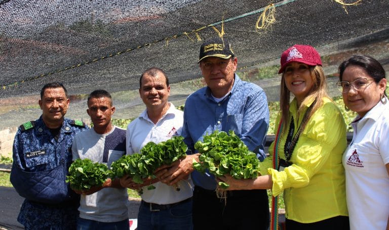 Pospenados cultivan sueños con en el café imagen de la publicación
