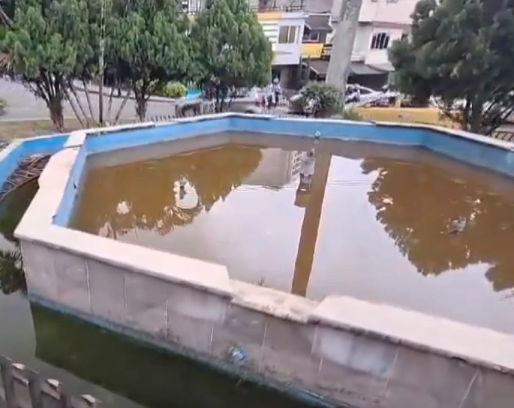 Presencia de zancudos en fuente abandonada de Mejoras Públicas en Bucaramanga imagen de la publicación
