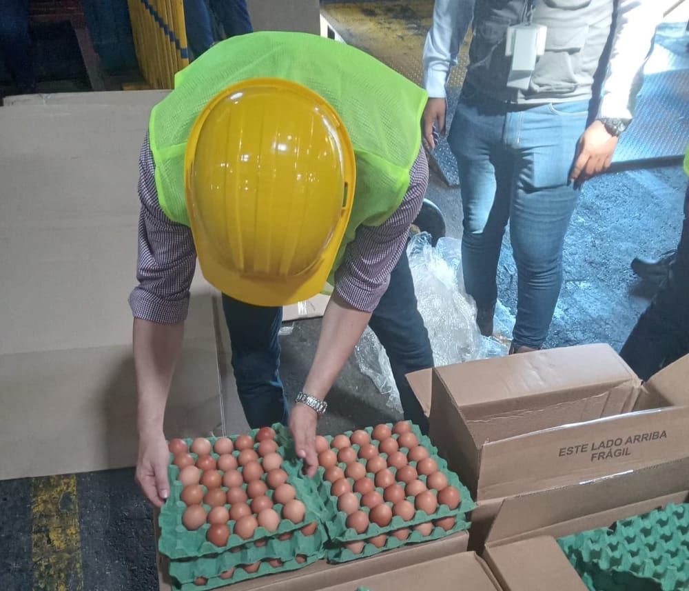 Colombia exporta huevos a Cuba en un nuevo hito para el sector avícola imagen de la publicación