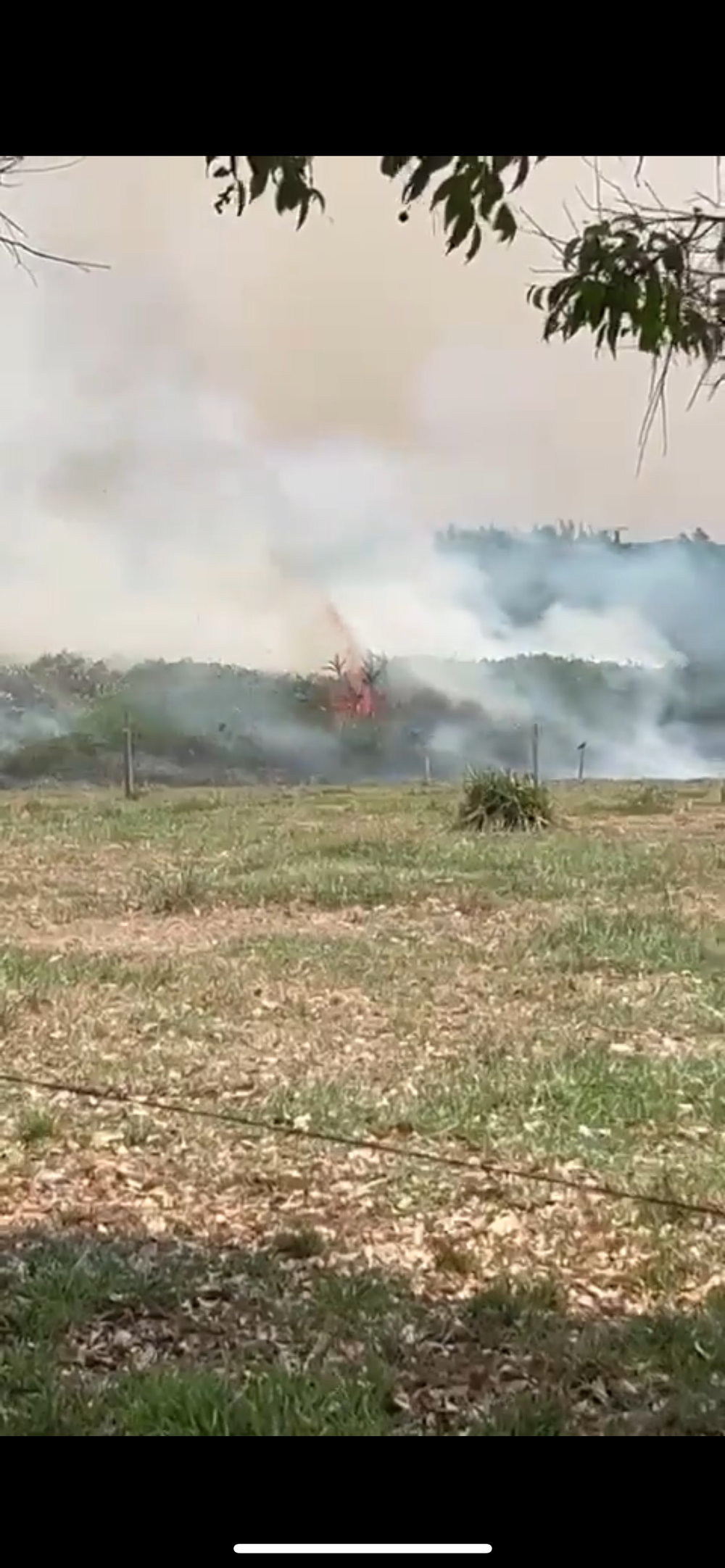 Autoridades buscan apagar emergencia en el Bajo Rionegro imagen de la publicación