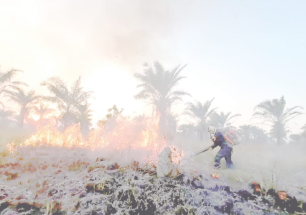 Incendio forestal en Rionegro (S) devasta más de 200 hectáreas imagen de la publicación