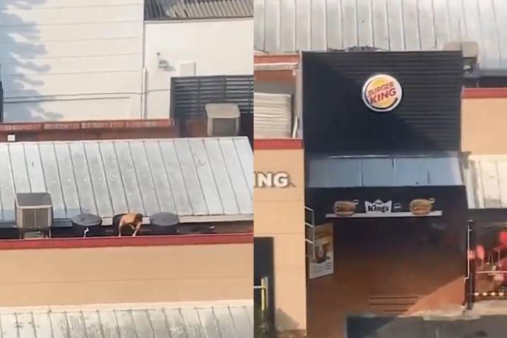 VIDEO. Hombre fue sorprendido bañándose en tanque de agua de Burger King imagen de la publicación
