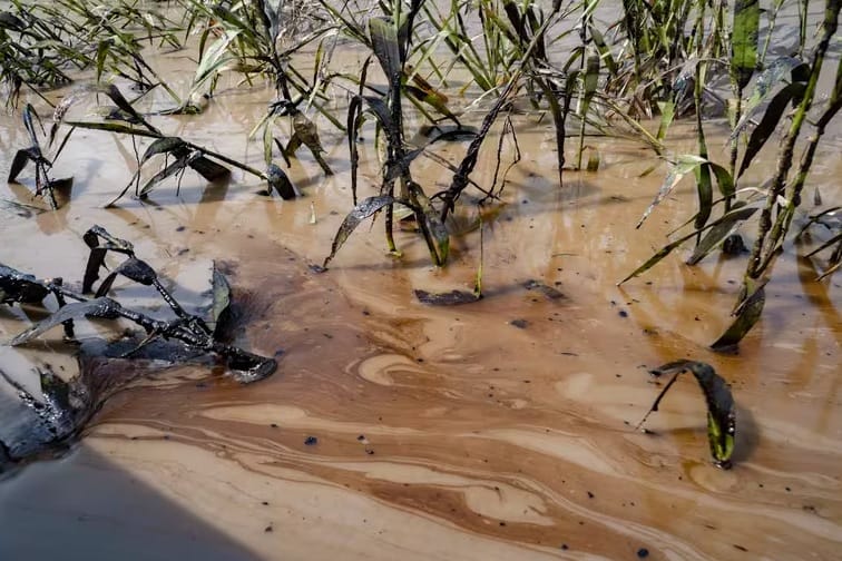 Autoridades declaran bajo control la emergencia por derrame de crudo en Santander imagen de la publicación