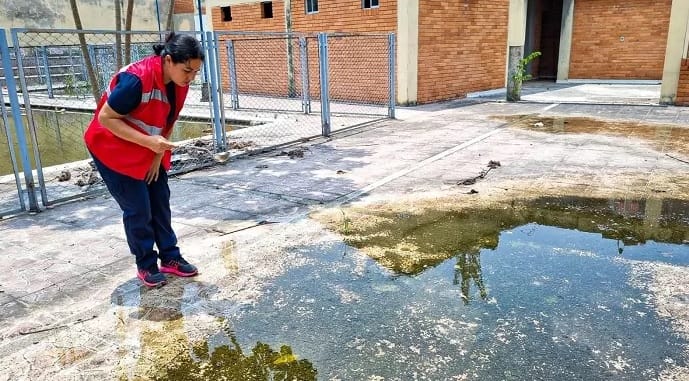 Floridablanca intensifica esfuerzos para prevenir enfermedades transmitidas por mosquitos imagen de la publicación
