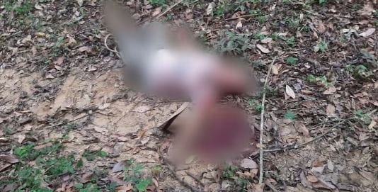 Agricultor apareció muerto en Sabana de Torres imagen de la publicación