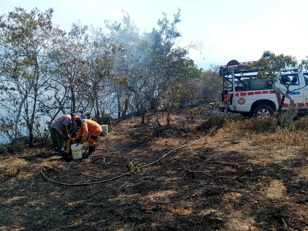 Incendios forestales devastan áreas naturales y granjas apícolas en Santander imagen de la publicación