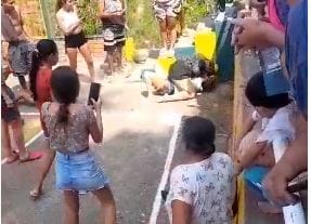 VIDEO. Por un hombre mujeres armaron UFC criolla en 'Las Torres' imagen de la publicación