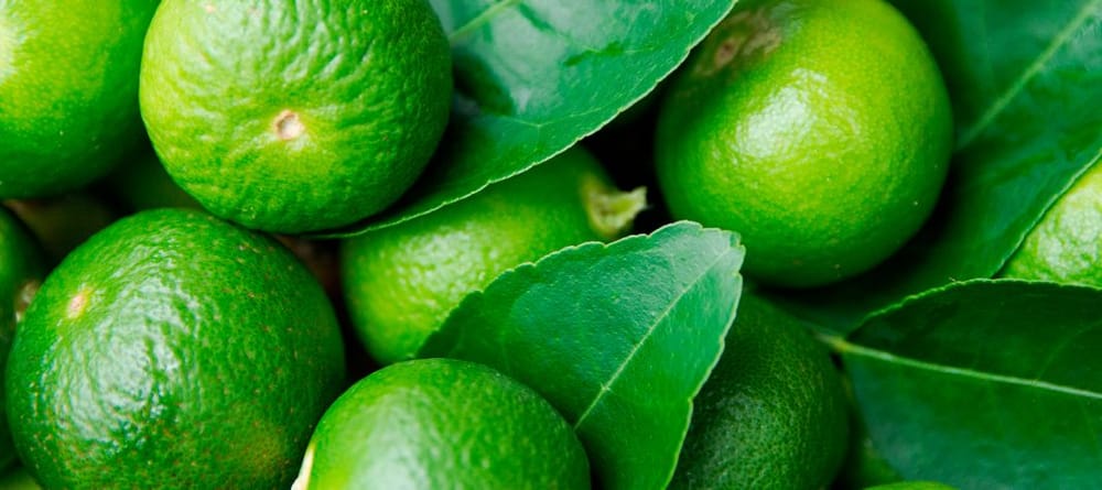 Santander accede al mercado chino con limón Tahití imagen de la publicación