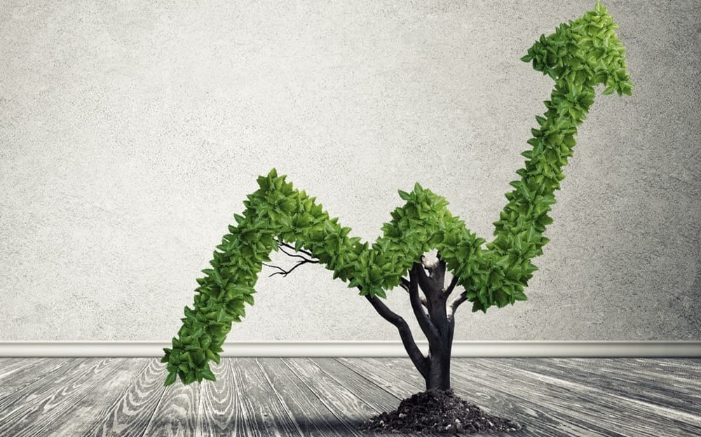 Alianza estratégica busca empoderar a gestoras sociales en desarrollo sostenible imagen de la publicación