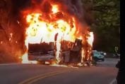 VIDEO. Bus quedó hecho cenizas en Piedecuesta imagen de la publicación