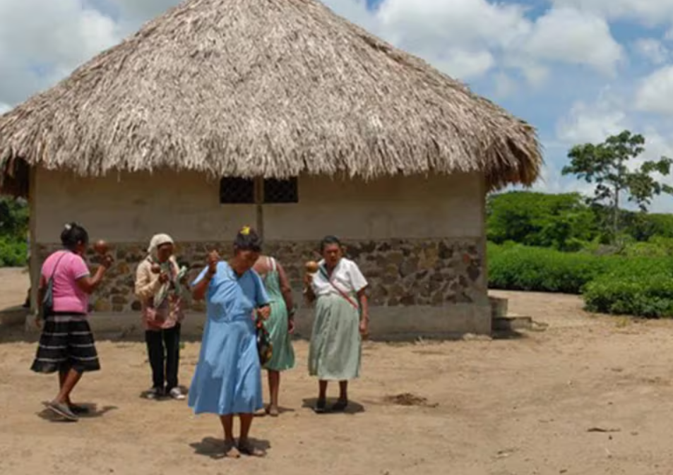 Salió autopsia de niños Yukpa: “No fue un accidente, fue un crimen” imagen de la publicación