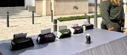 Camuflados en productos lácteos carabineros encontraron caleta de alucinógenos imagen de la publicación