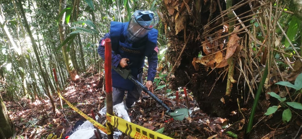 El legado del Batallón de Ingenieros de Desminado Humanitario N. °3 imagen de la publicación