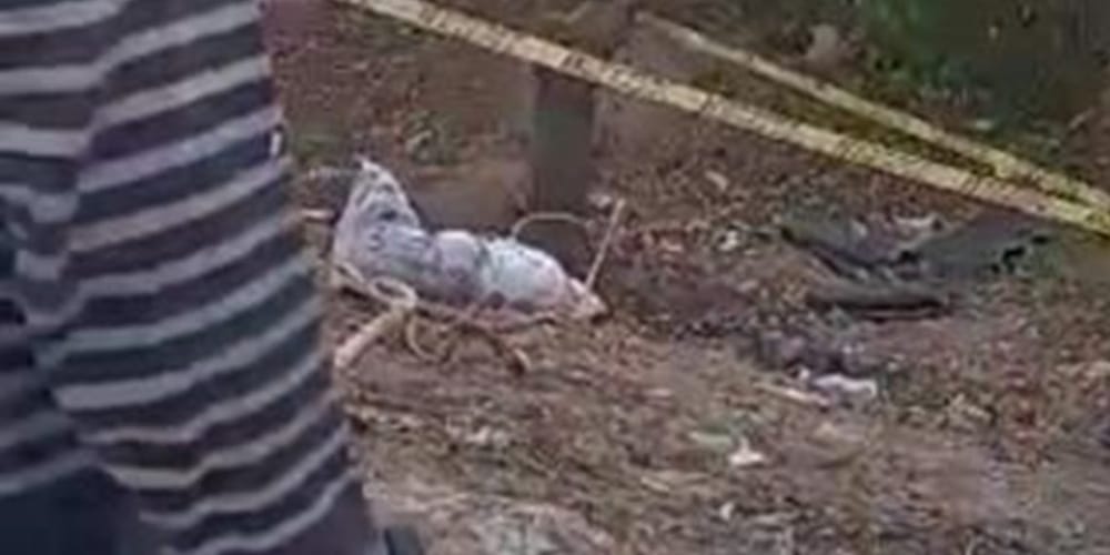 Macabro hallazgo: Encuentran cuerpo desmembrado dentro de un costal imagen de la publicación