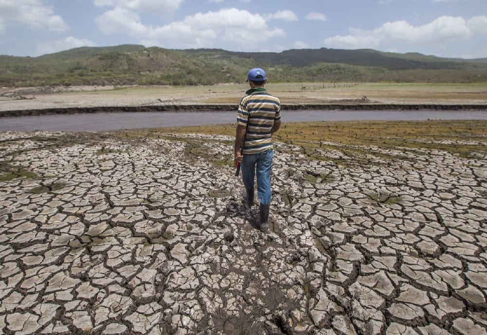 'El Niño' no ha terminado: nuevo llamado para afrontar la temporada seca imagen de la publicación
