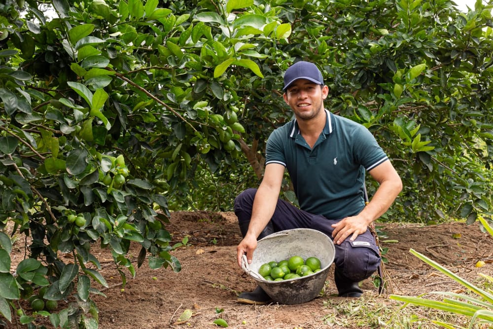 Cítricos gironeses: Calidad y rentabilidad imagen de la publicación