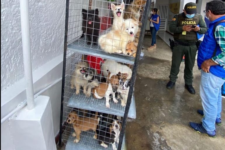 Atención: Capacidad copada en la UBA de Bucaramanga imagen de la publicación