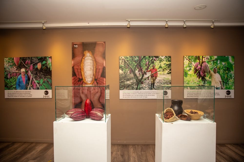 Exposición 'Aromas de Paz' resalta la belleza del cacao santandereano imagen de la publicación