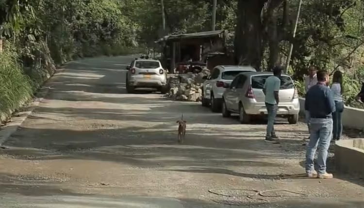 Cierres intermitentes en la vía Bucaramanga - Matanza por obras de mantenimiento imagen de la publicación