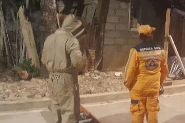 Abejas africanizadas atacaron a pobladores de Puerto Wilches imagen de la publicación