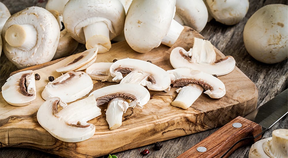 UPB y Cámara de Comercio capacitan en cultivo de hongos comestibles imagen de la publicación