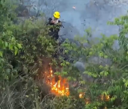 Incendio devastó infraestructuras de suministro de agua en Los Santos imagen de la publicación