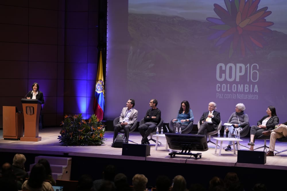 Ministra Susana Muhamad resalta la necesidad de preservar la Amazonía y proteger los derechos humanos imagen de la publicación