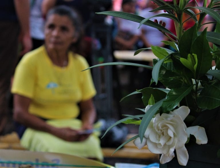 Inicia proceso de reparación para sobrevivientes y familiares de la Unión Patriótica imagen de la publicación