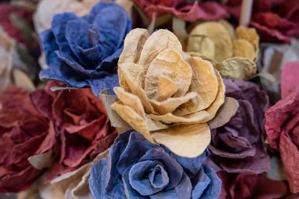 Muestra Colectiva ‘Doméstica’ en Barichara imagen de la publicación