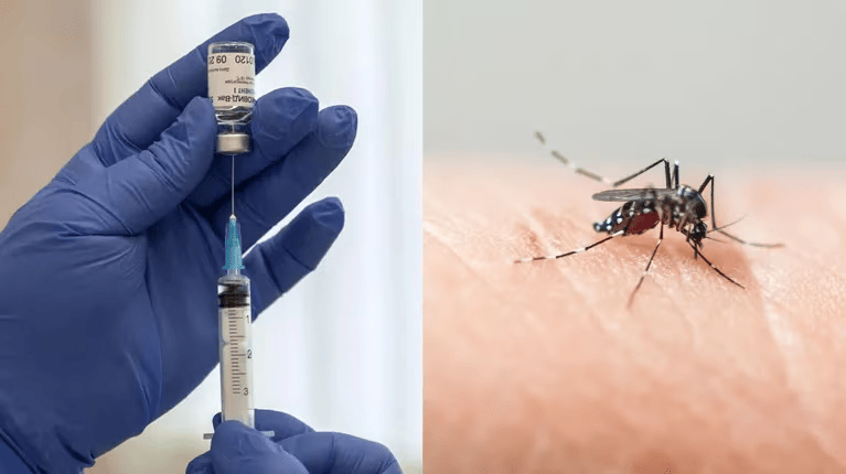 OMS aprueba nueva vacuna contra el dengue imagen de la publicación