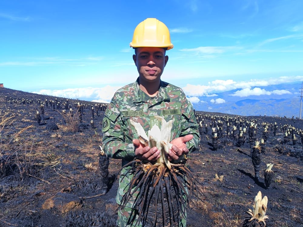 Progreso, apoyo y seguridad en el departamento de Santander imagen de la publicación