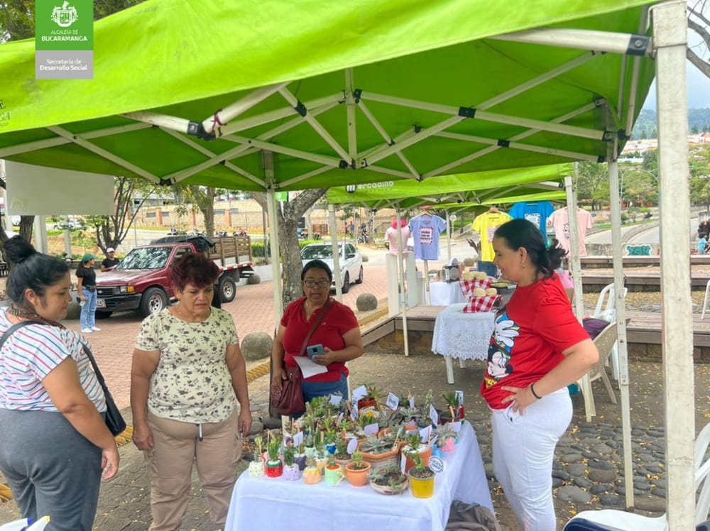 Programa de respaldo con crecimiento y sostenibilidad imagen de la publicación
