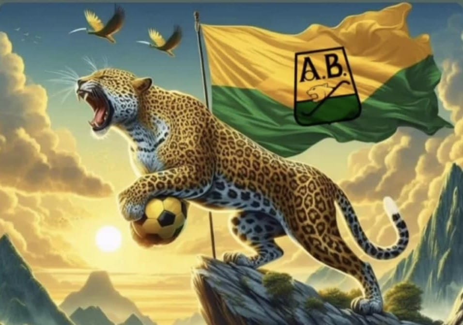 Una historia que no me han contado… la he vivido ¡locos por el leopardo! imagen de la publicación